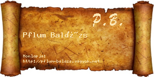Pflum Balázs névjegykártya