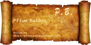 Pflum Balázs névjegykártya